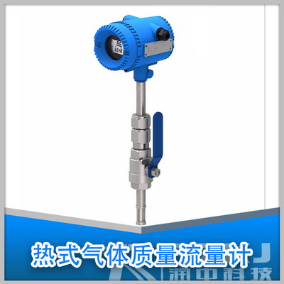 熱式氣體質(zhì)量流量計(jì)